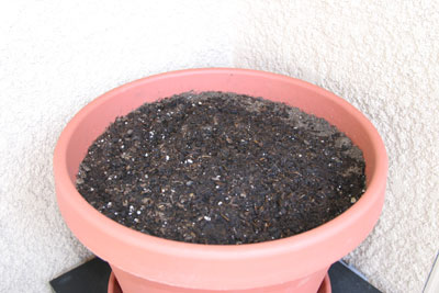 herbs_update_1.jpg